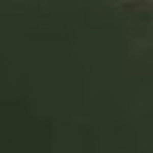 Meet your Posher, Mayra